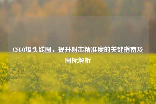 CSGO爆头线图，提升射击精准度的关键指南及图标解析