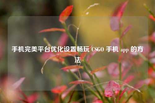 手机完美平台优化设置畅玩 CSGO 手机 app 的方法