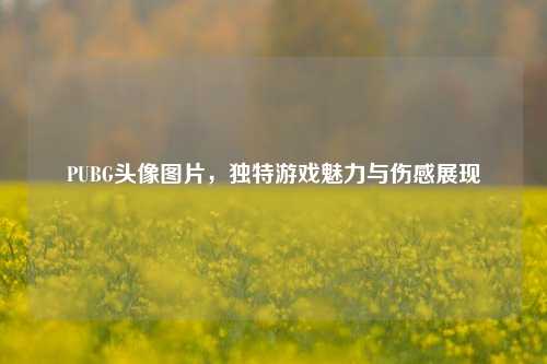 PUBG头像图片，独特游戏魅力与伤感展现