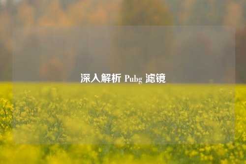 深入解析 Pubg 滤镜