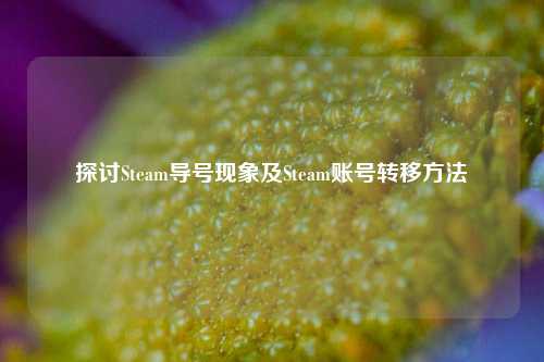 探讨Steam导号现象及Steam账号转移方法