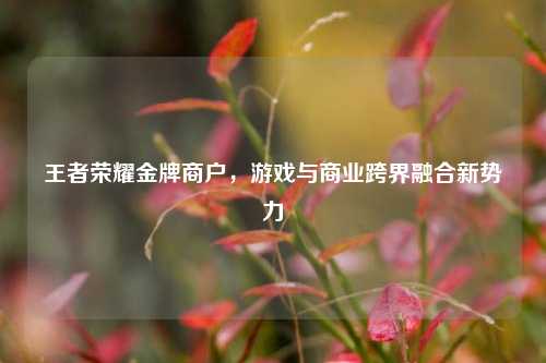 王者荣耀金牌商户，游戏与商业跨界融合新势力