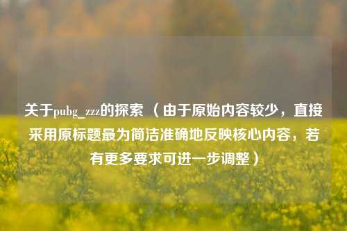 关于pubg_zzz的探索 （由于原始内容较少，直接采用原标题最为简洁准确地反映核心内容，若有更多要求可进一步调整）