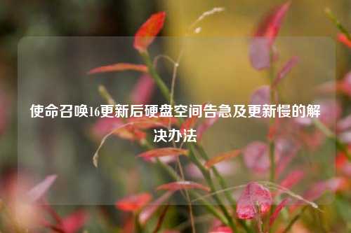 使命召唤16更新后硬盘空间告急及更新慢的解决办法