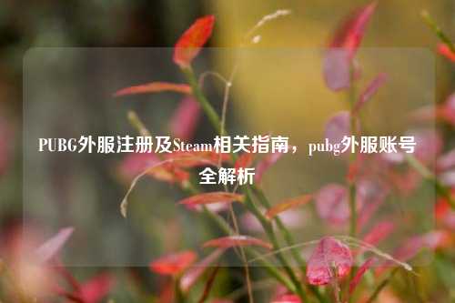 PUBG外服注册及Steam相关指南，pubg外服账号全解析