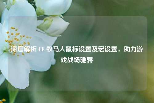 深度解析 CF 牧马人鼠标设置及宏设置，助力游戏战场驰骋