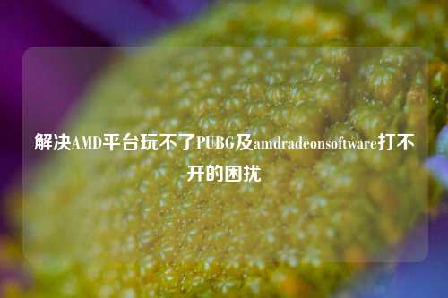 解决AMD平台玩不了PUBG及amdradeonsoftware打不开的困扰