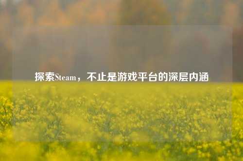 探索Steam，不止是游戏平台的深层内涵