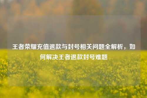 王者荣耀充值退款与封号相关问题全解析，如何解决王者退款封号难题