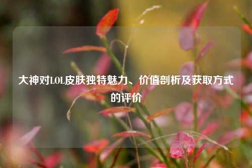 大神对LOL皮肤独特魅力、价值剖析及获取方式的评价