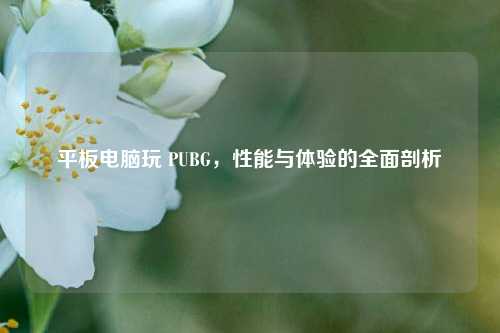 平板电脑玩 PUBG，性能与体验的全面剖析