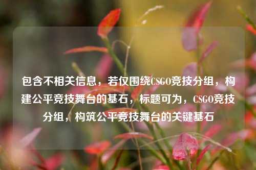 包含不相关信息，若仅围绕CSGO竞技分组，构建公平竞技舞台的基石，标题可为，CSGO竞技分组，构筑公平竞技舞台的关键基石