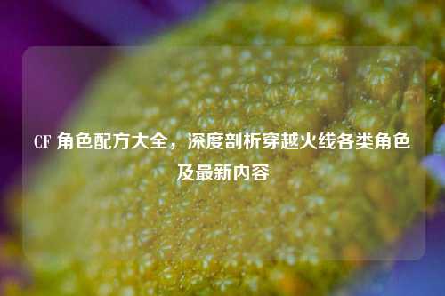CF 角色配方大全，深度剖析穿越火线各类角色及最新内容