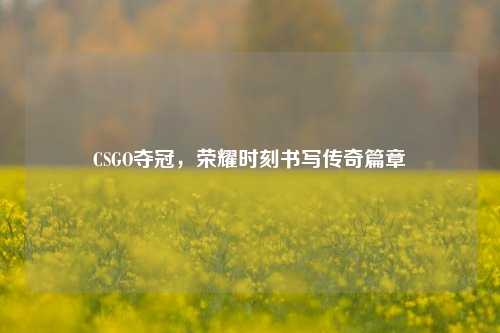 CSGO夺冠，荣耀时刻书写传奇篇章