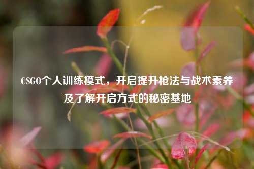 CSGO个人训练模式，开启提升枪法与战术素养及了解开启方式的秘密基地