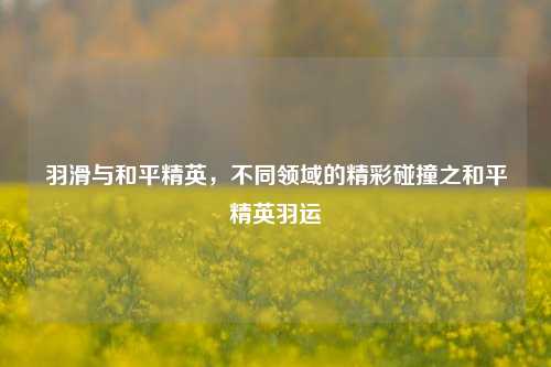 羽滑与和平精英，不同领域的精彩碰撞之和平精英羽运