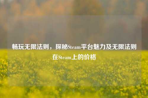 畅玩无限法则，探秘Steam平台魅力及无限法则在Steam上的价格