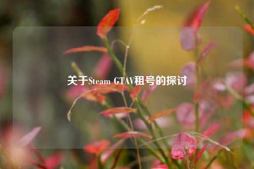 关于Steam GTAV租号的探讨