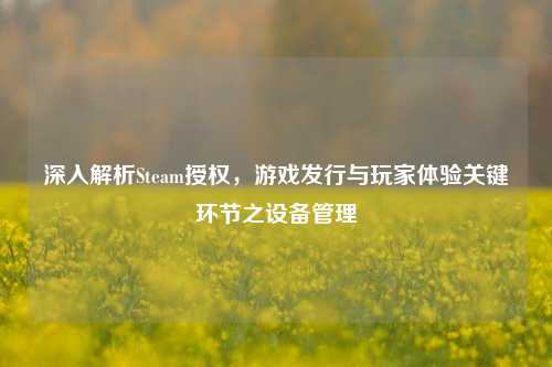 深入解析Steam授权，游戏发行与玩家体验关键环节之设备管理