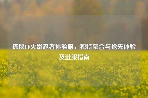 探秘CF火影忍者体验服，独特融合与抢先体验及进服指南
