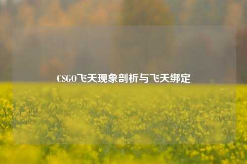 CSGO飞天现象剖析与飞天绑定