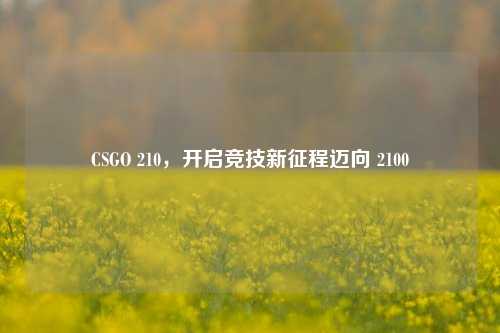 CSGO 210，开启竞技新征程迈向 2100