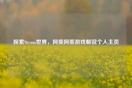 探索Steam世界，阿柴阿柴游戏解说个人主页