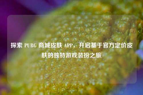 探索 PUBG 商城皮肤 APP，开启基于官方定价皮肤的独特游戏装扮之旅