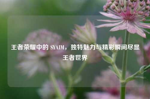 王者荣耀中的 SYAIM，独特魅力与精彩瞬间尽显王者世界