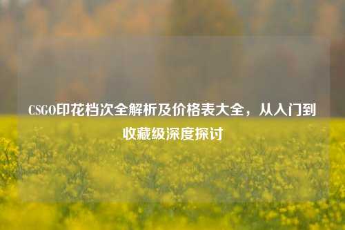 CSGO印花档次全解析及价格表大全，从入门到收藏级深度探讨