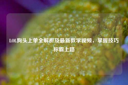 LOL狗头上单全解析及最新教学视频，掌握技巧称霸上路