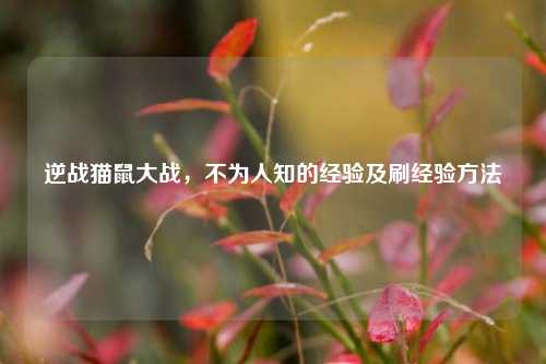 逆战猫鼠大战，不为人知的经验及刷经验方法