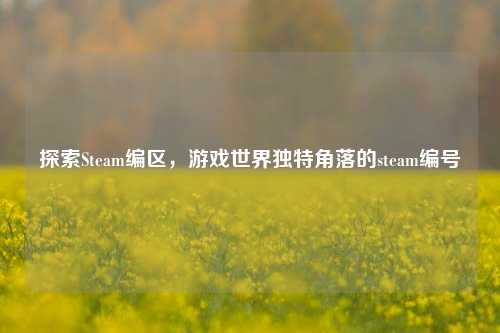 探索Steam编区，游戏世界独特角落的steam编号