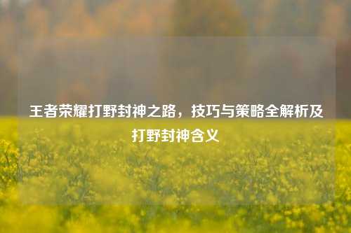 王者荣耀打野封神之路，技巧与策略全解析及打野封神含义