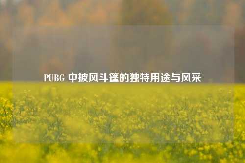 PUBG 中披风斗篷的独特用途与风采