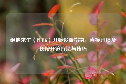 绝地求生（PUBG）开镜设置指南，直接开镜及长按开镜方法与技巧
