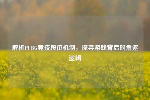 解析PUBG竞技段位机制，探寻游戏背后的角逐逻辑