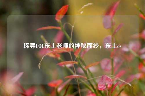 探寻LOL东土老师的神秘面纱，东土os