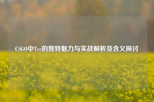 CSGO中Tec的独特魅力与实战解析及含义探讨