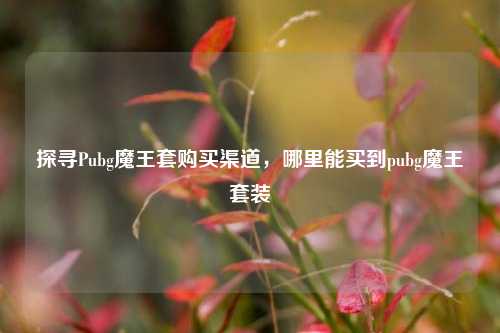 探寻Pubg魔王套购买渠道，哪里能买到pubg魔王套装
