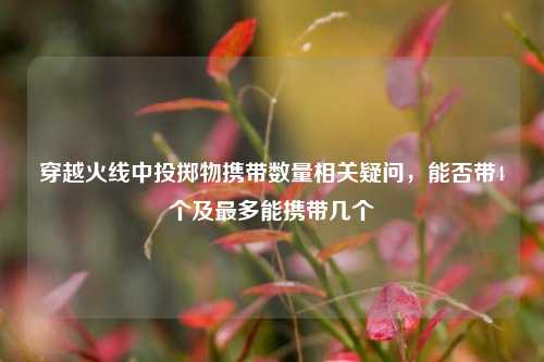 穿越火线中投掷物携带数量相关疑问，能否带4个及最多能携带几个