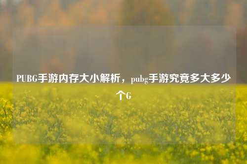 PUBG手游内存大小解析，pubg手游究竟多大多少个G