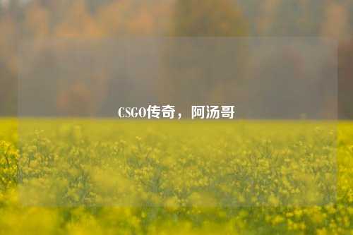 CSGO传奇，阿汤哥