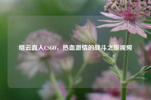 缙云真人CSGO，热血激情的战斗之旅视频