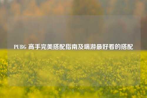 PUBG 高手完美搭配指南及端游最好看的搭配