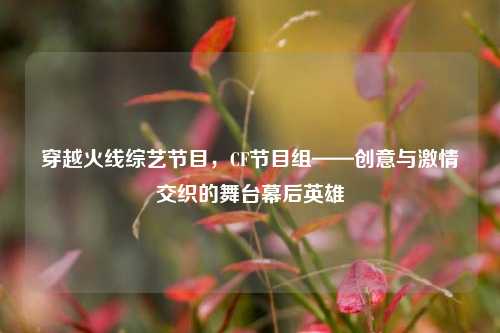 穿越火线综艺节目，CF节目组——创意与激情交织的舞台幕后英雄