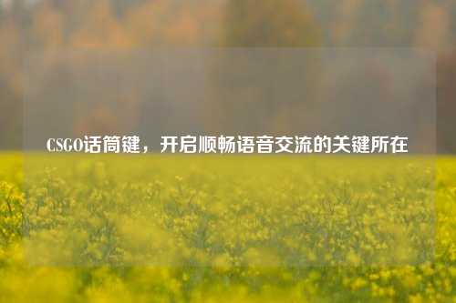 CSGO话筒键，开启顺畅语音交流的关键所在