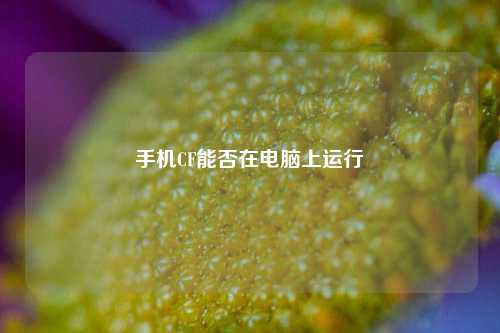 手机CF能否在电脑上运行