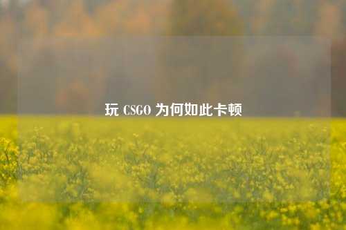 玩 CSGO 为何如此卡顿