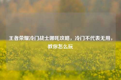 王者荣耀冷门战士哪吒攻略，冷门不代表无用，教你怎么玩
